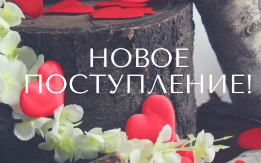 НОВЕ НАДХОДЖЕННЯ!